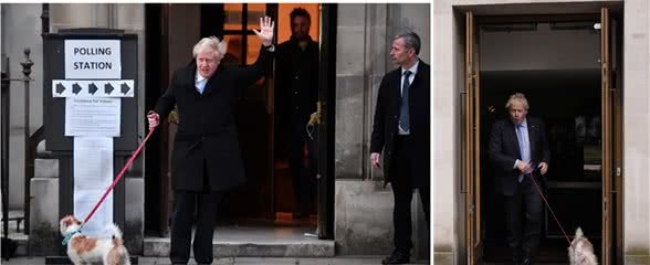 咦?约翰逊拉着他的宠物狗来投票