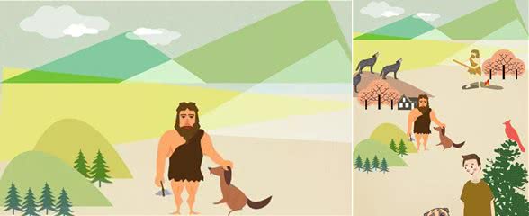 冷知识|狗狗花了数千年才能消化碳水化合物