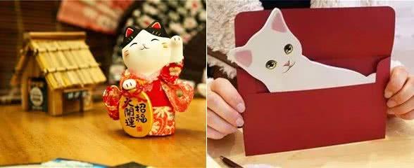 别小看你家里的那只猫，它可能比你更有前途