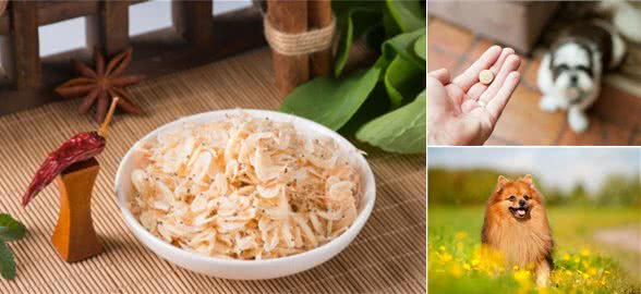 狗狗天天吃钙片好嘛