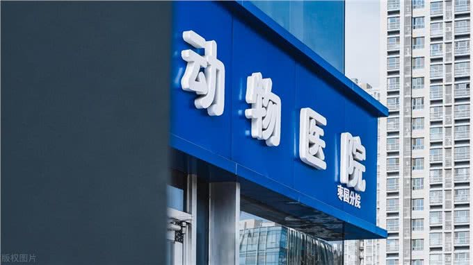 难怪代养宠物收费高，确实有风险，我已中招，被一条雪纳瑞犬坑了