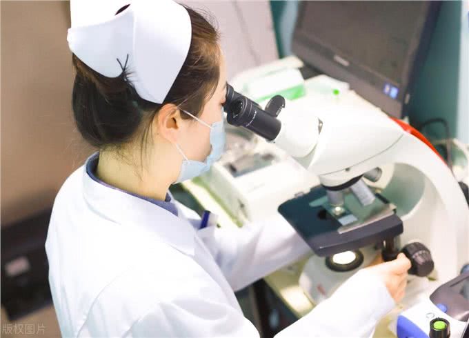 难怪代养宠物收费高，确实有风险，我已中招，被一条雪纳瑞犬坑了