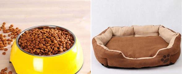 土狗拉肚子可以吃土霉素吗