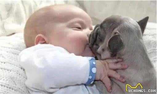 狗狗睡在这5个不同的地方，可能出问题了