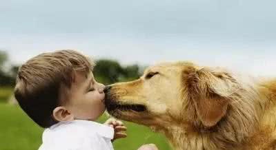 汪酱与小孩同在!适合陪伴小孩的狗狗