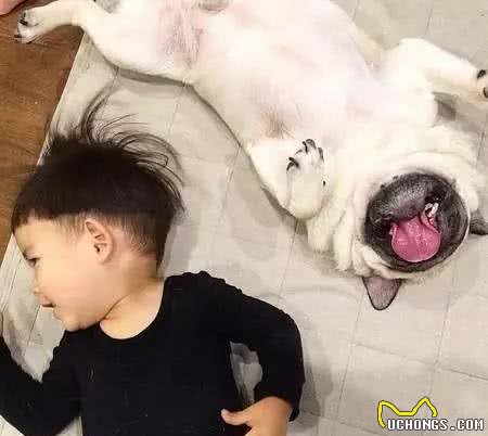 汪酱与小孩同在!适合陪伴小孩的狗狗