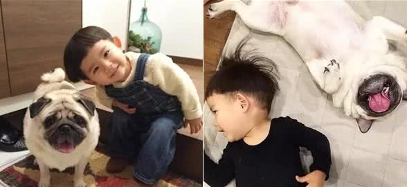 汪酱与小孩同在!适合陪伴小孩的狗狗