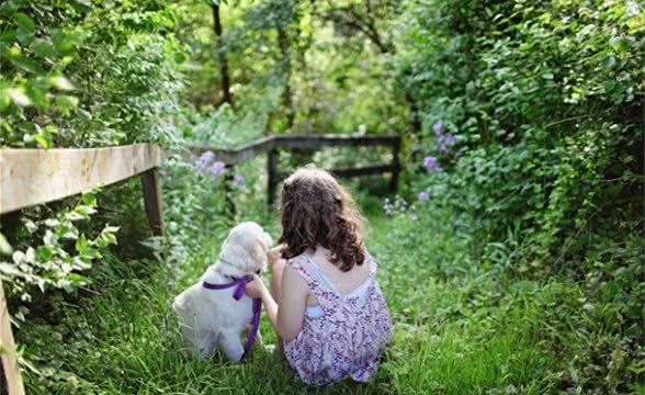 疫苗失效?防犬秘诀大公开!