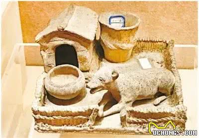 绝对正面:先秦与两汉时期的特色狗文化