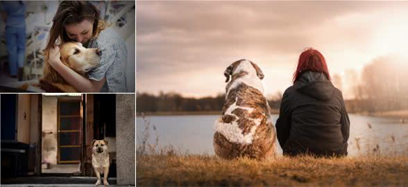 养狗的好处这么多，原来真的是有科学依据的