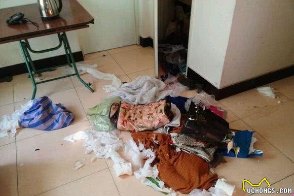 怕哈士奇拆家把它关在门外，下班回家发现门上一个大洞