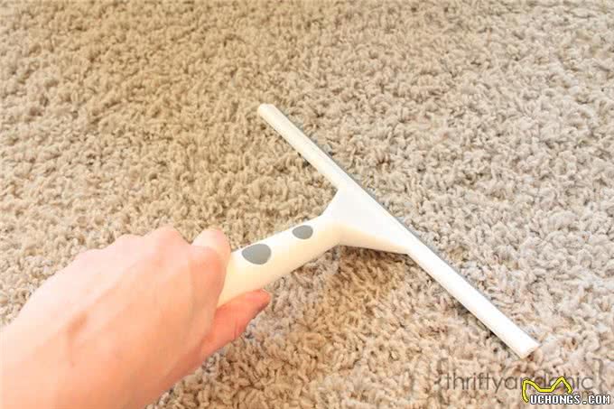 家里的狗毛多到可以织毛衣了?掌握这9个方法，轻松让家里变干净