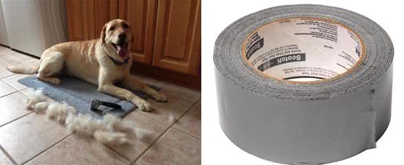 家里的狗毛多到可以织毛衣了?掌握这9个方法,轻松让家里变干净