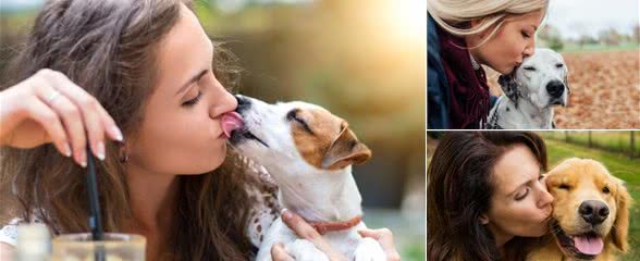 主人亲吻狗狗，狗狗能感受到爱意吗?关于狗狗如何理解主人的亲吻