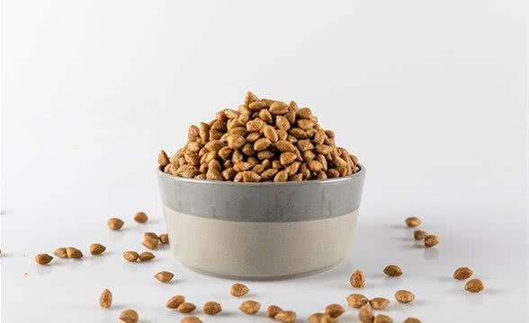 蛋白质过高或过低的狗粮,对狗狗都有危害