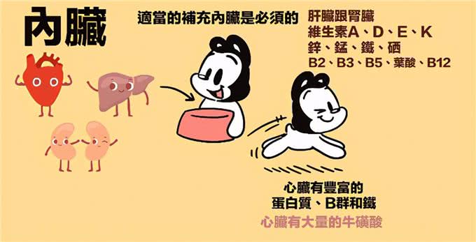 15个让狗狗健康的超级食物(狗狗暖知识)