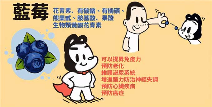 15个让狗狗健康的超级食物(狗狗暖知识)