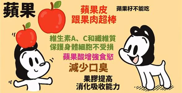 15个让狗狗健康的超级食物(狗狗暖知识)