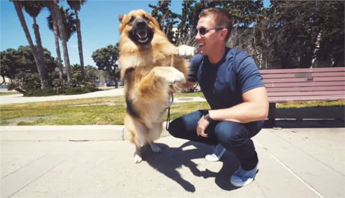 狗狗被主人锁在后院多年，第一次看到海，它激动得嗷嗷叫