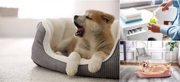 狗狗床清洁大解密!正确清洗方法让爱犬更健康