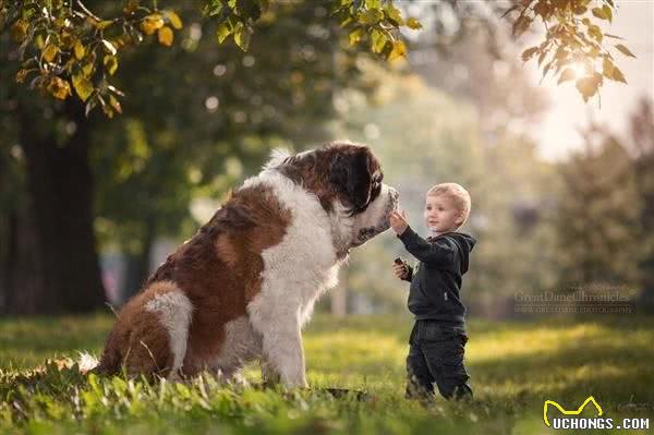 啊，这些狗真的太好吃啦!