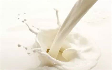 狗狗真的可以喝牛奶吗?