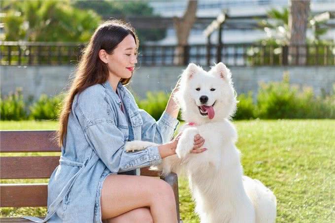 养狗后家里都是狗毛?怎么解决家里的狗狗掉毛严重的问题