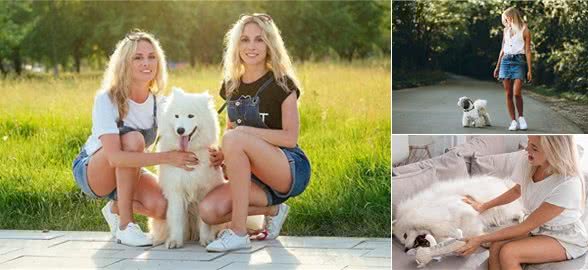 养狗后家里都是狗毛?怎么解决家里的狗狗掉毛严重的问题