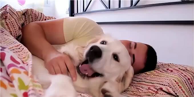 和狗狗一起睡觉:你未曾料想的那些事!