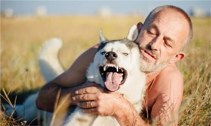 宠物上了年纪会变挑食?给宠物挑选狗粮,有什么注意事项吗?