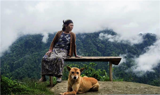 宠物上了年纪会变挑食?给宠物挑选狗粮,有什么注意事项吗?
