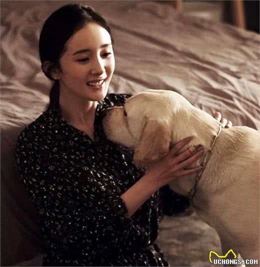 忠诚的五种狗，它这辈子，心里都是你