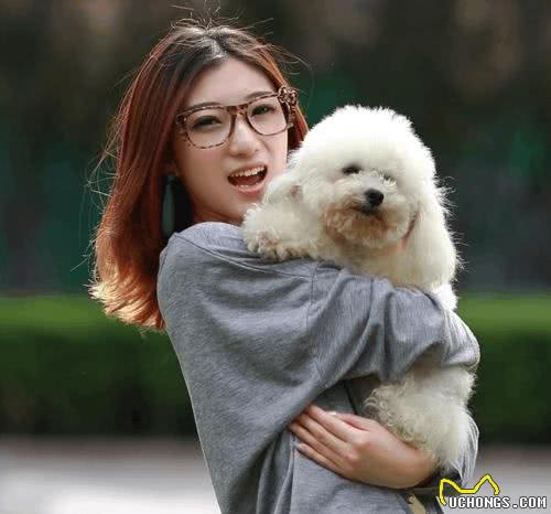 狗狗眼里第一主人是什么样的?划分等级?你排第几呢?