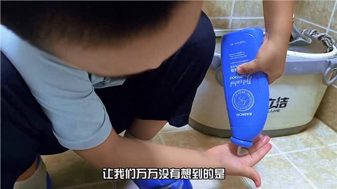 家里没养过小鹿犬的，可千万别养，谁养谁后悔!—创作灵感