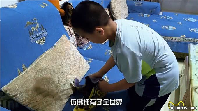 家里没养过小鹿犬的，可千万别养，谁养谁后悔!—创作灵感