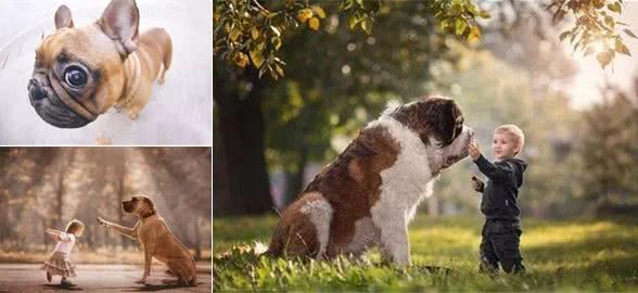 如何用最短的时间让陌生狗狗快速上手—秘籍篇