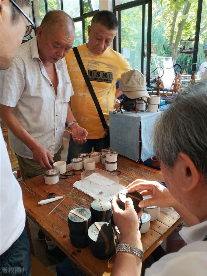 斗狗比赛合法吗?探寻动物打斗与地下赌博产业的利益链条