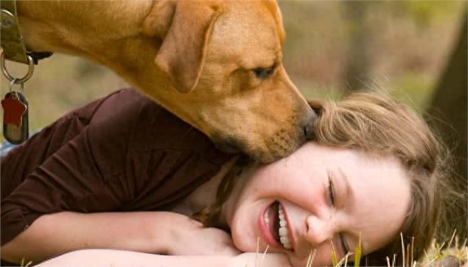 狗狗表达爱的6个信号