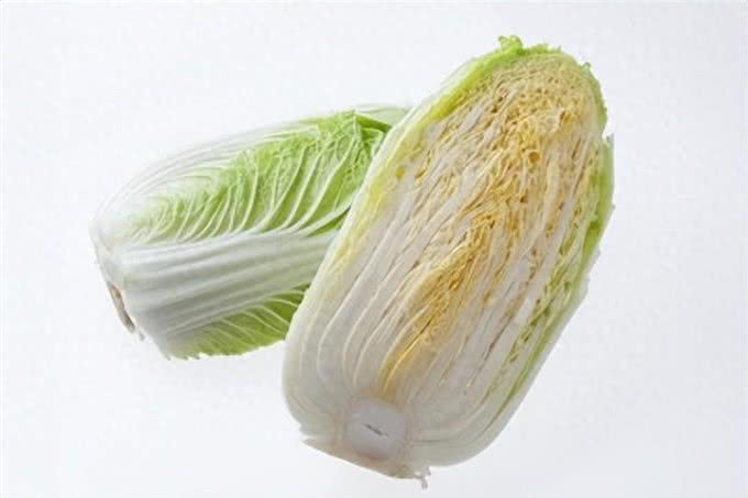 狗狗可以吃白菜吗?喂食白菜的注意事项与每日适量量