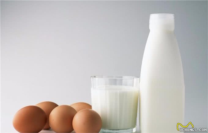 拉布拉多犬如何正确投喂?记住这六点，让你的狗狗状态爆棚