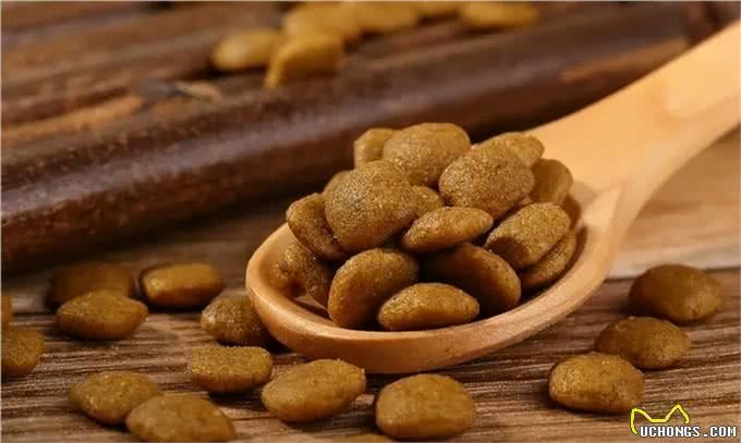 揭秘狗粮背后的秘密:你的狗狗究竟在吃什么?