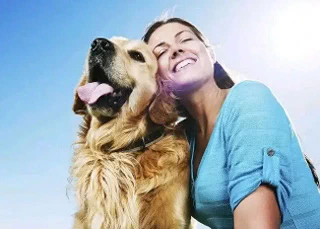 狗狗的忠诚,源自这不可思议的本能!