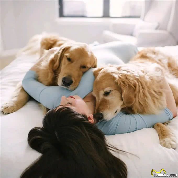 狗狗的忠诚,源自这不可思议的本能!