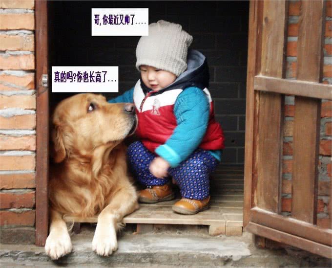 后来我看到的每一只狗都像你，只是都没你好看