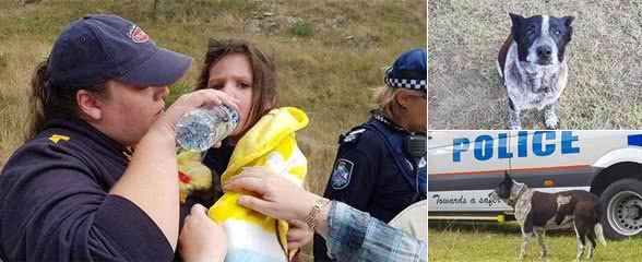 3岁小女孩迷失丛林，17岁年老忠犬陪伴整夜并带人找到她