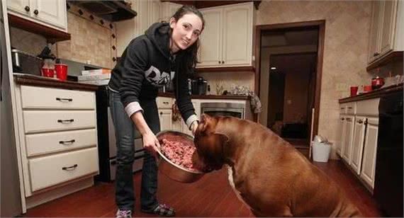 当你遇到这些狗时，赶紧躲避它们，小心它们的攻击!