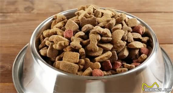 当你遇到这些狗时，赶紧躲避它们，小心它们的攻击!