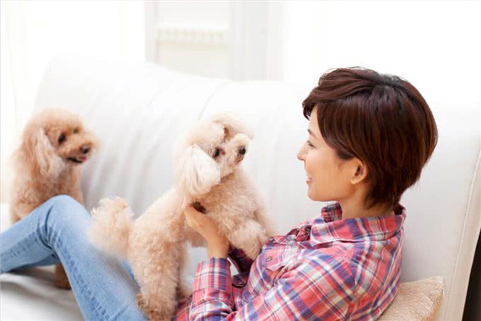 养一只狗，它会孤独吗?两只会不会更好?