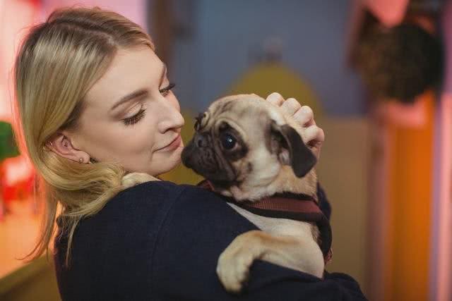 首次养狗该如何选择?这8个品种的狗，最适合萌新宠主饲养