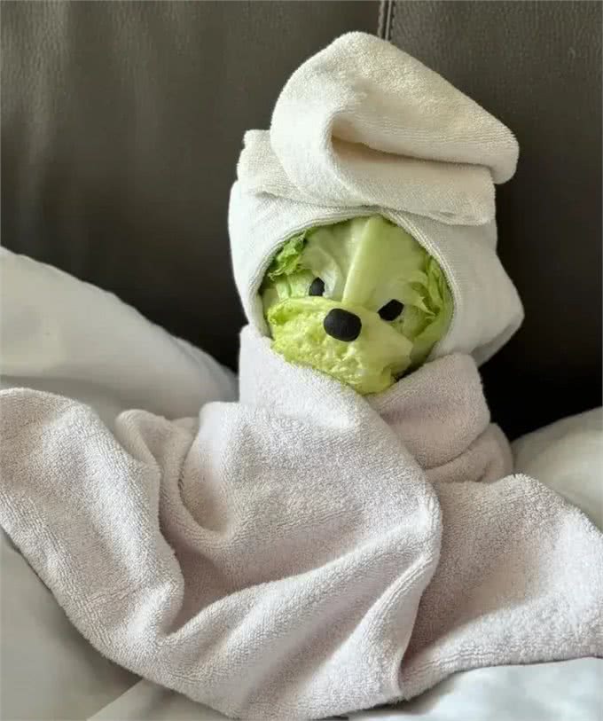 当泰迪在小小的沙滩上挖呀挖呀后，秒变双马尾老太太!耳朵甩飞了